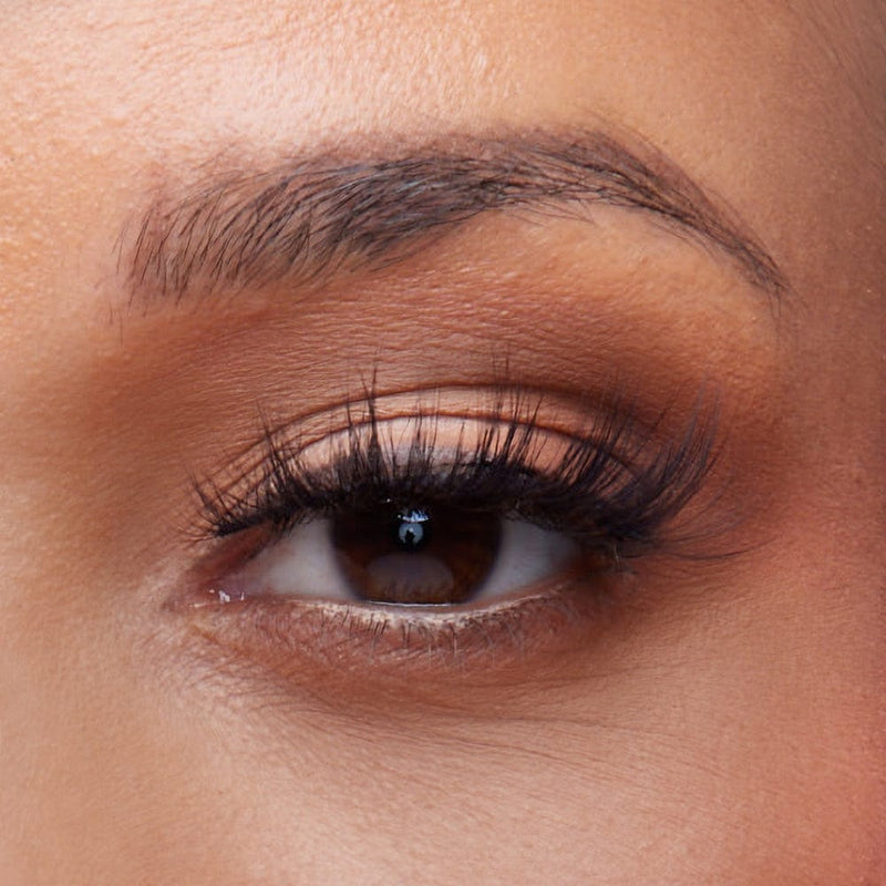 Flaunt Lash Queen Bee | Glam False Lashes